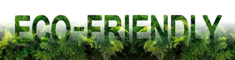 Bradenton Junk Removal in Manatee County - Bradenton Junk Removal